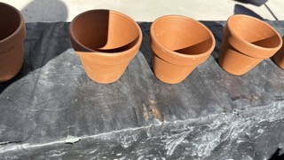 terracotta pots<br />
