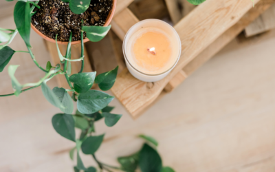 Why Soy Wax Candles Are the Perfect Choice for a Cleaner, Safer Home